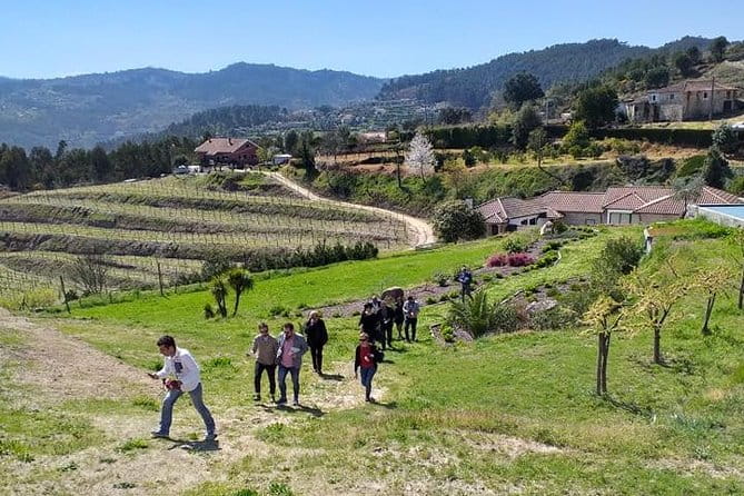 Selection Tasting | Quinta de Santa Cristina Vinho Verde - Logistics and Practical Tips