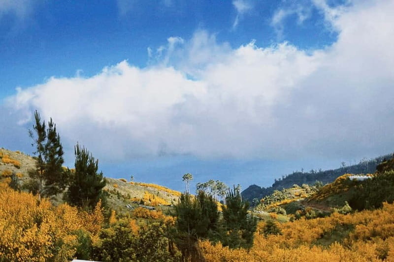 Self-Guided E-Bike Road Tour - Camacha to Monte with Lunch - FAQ