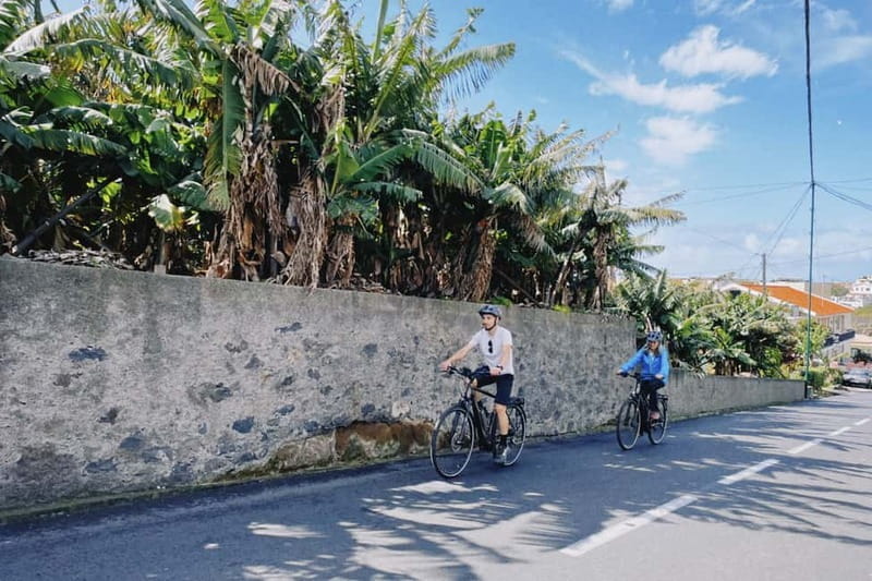 Self-Guided E-Bike Road Tour - Funchal to Câmara de Lobos - Key Points / Takeaways