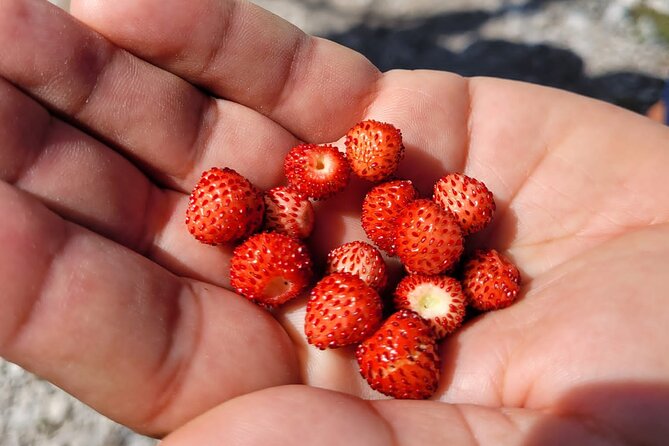 Self-Guided Hiking Tour: Theth, Valbona & Koman Lake in 3 Days - Pricing and Cancellation Policy