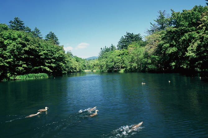 Self Guided Tour in Karuizawa With Bullet Train Ticket - Booking and Confirmation