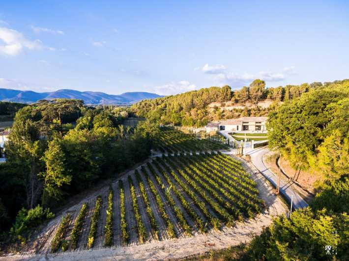 Self tour of the olive oil mill & olive oil tasting - What to Expect: The Details of the Experience