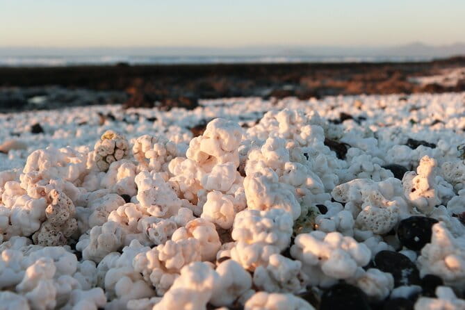 Selfguided Ebike Tour to Popcorn Beach and the Northern Volcanoes - Inclusions