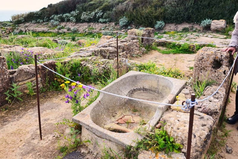 Selinunte: Archeological Park Entry Ticket & App Audioguide - Price and Logistics: A Fair Deal for Big History