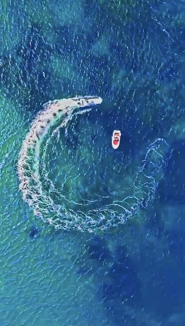 Sella Diavolo Eco-friendly Tour with Aperitif and Snacks - Key Points & Takeaways