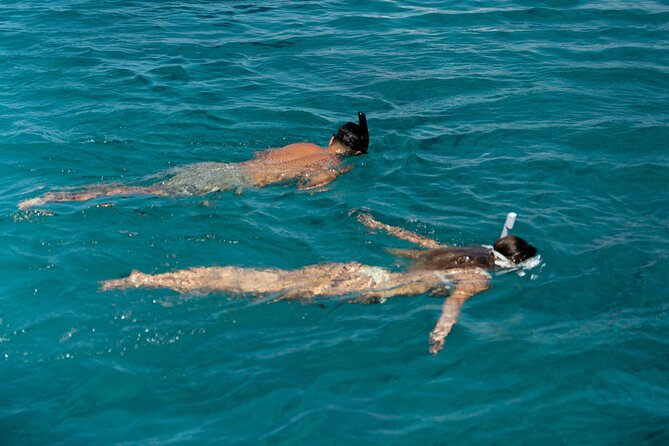 Semi-Private Brand-New Catamaran Cruise in Mykonos With Meal, Drinks & Transport - Escape the Crowds and Relax