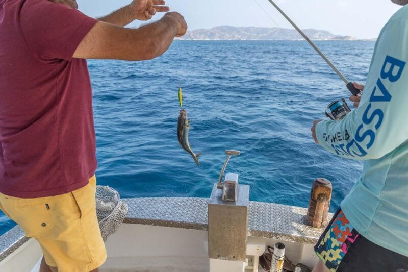 Semi Private Cruise  Afternoon Cruise Pollonia Polyaigos - Discovering Milos and Polyaigos: An Authentic Greek Sea Experience