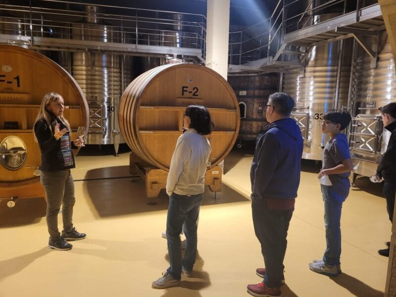 Semi-Private La Rioja Tour of 3 Premium Wineries from Bilbao - Key Points / Takeaways
