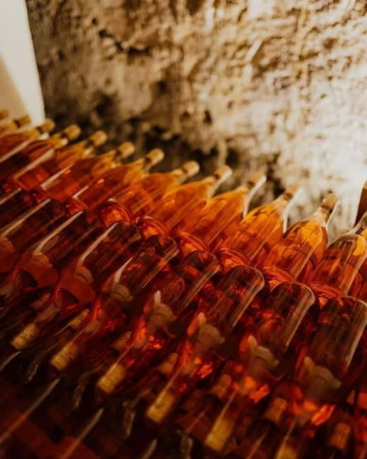 Semi-Private Tour; Belgrade to Tirana the Balkans in 8 Days - From Beaches to Borders: Montenegro to Albania