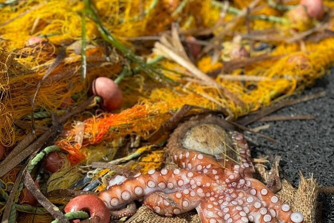 Semipriv FishingTour on Kaiki Paros/Naousa or Private sunset tour - Who Will Love This Tour?