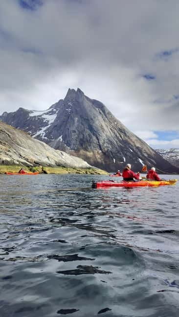 Senja: Fjord Kayaking in Ånderdalen National Park - Who Would Love This Experience?