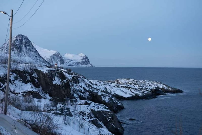 Senja: Full-Day Guided Tour with Husøy and Ersfjord - Practical Details: What to Expect and Why It Matters