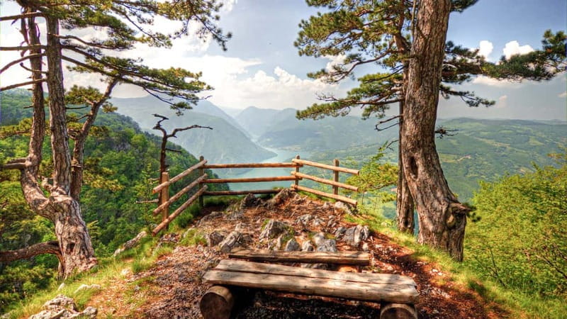 Serbia: Drina River House & Tara National Park Full Day Tour - Experiencing the Wonders of Western Serbia in One Day