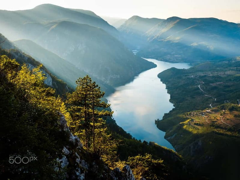 Serbia: Drina River House & Tara National Park Full Day Tour - Price and Value