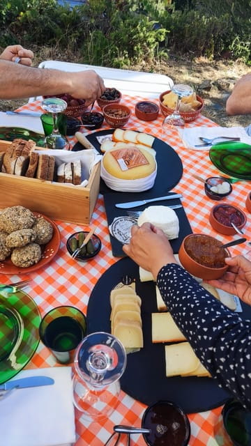 Serra da Estrela: Serra da Estrela cheese tasting - Price and Logistics: Fair Value for a Cultural Tasting
