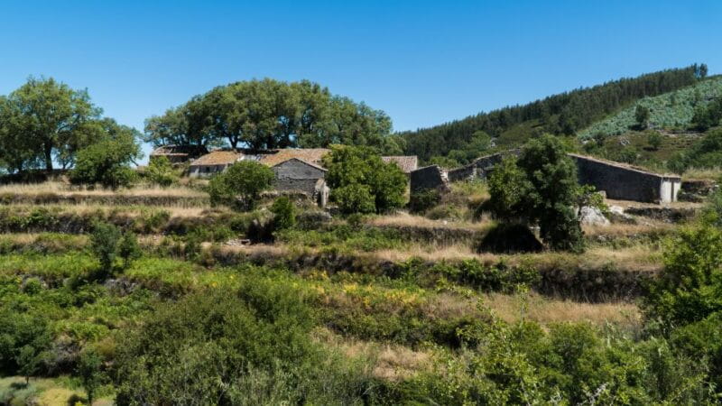 Serra de Monchique & Bravura Half Day Off-Road Day Trip - Discovering the Hidden Algarve: A Deep Dive into the Serra de Monchique & Bravura Off-Road Trip