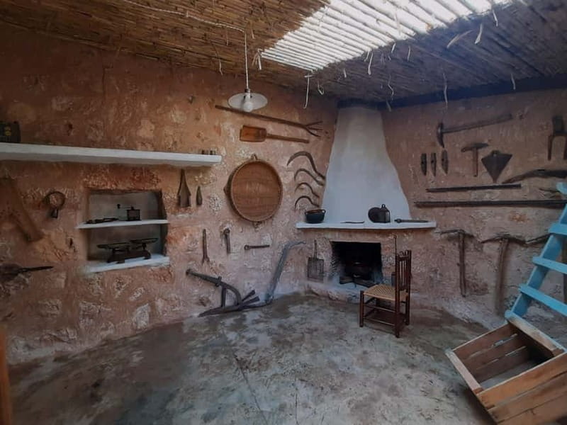 Serra de Tramuntana, Fornalutx: The olive tree: culture, cultivation, tasting. - Exploring the Serra de Tramuntana Olive Grove: A Detailed Look