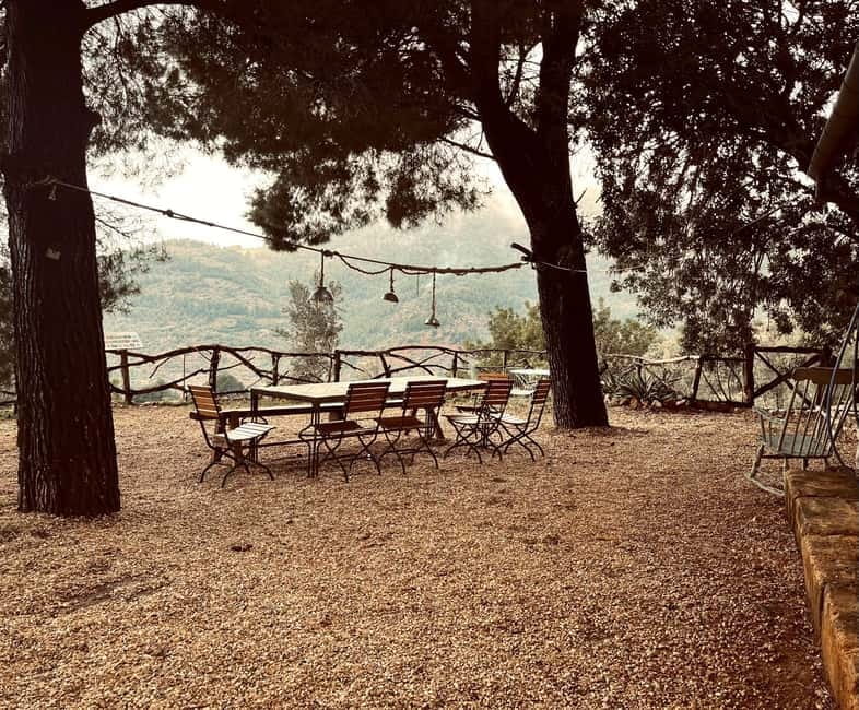 Serra de Tramuntana, Fornalutx: The olive tree: culture, cultivation, tasting. - Price and Logistics