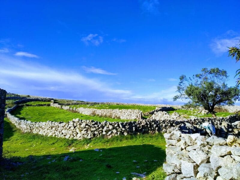 Serras de Aire e Candeeiros: Nature & Geology Exploration - Exploring Serras de Aire e Candeeiros: Your In-Depth Guide