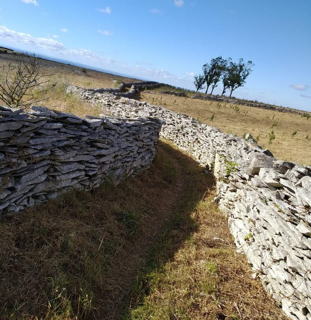 Serras de Aire e Candeeiros: Nature & Geology Exploration - Final Thoughts