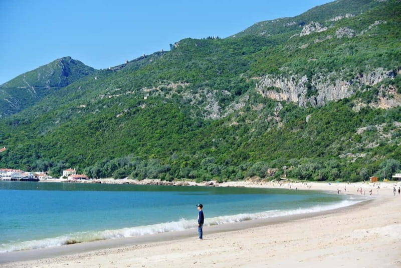 Sesimbra & Arrábida National Park Tour with 5 Wines Tasting - Practical Details and Value