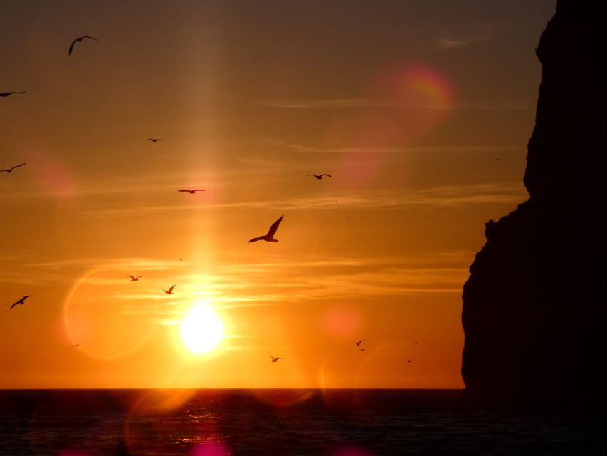 Sesimbra: Arrábida Natural Park Cabo Espichel Sunset Tour - Experience Highlights