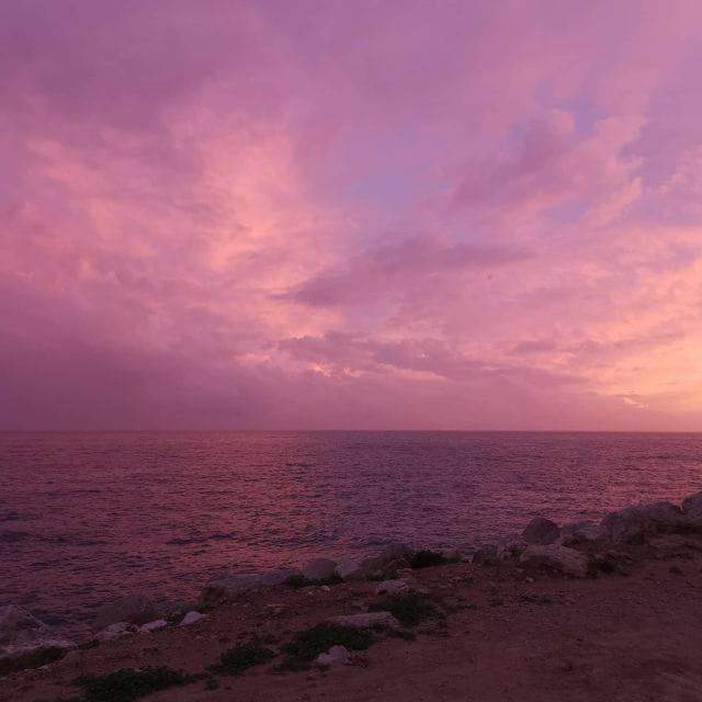 Sesimbra: Be a Tourist but Feel Like a Local! - Booking Information