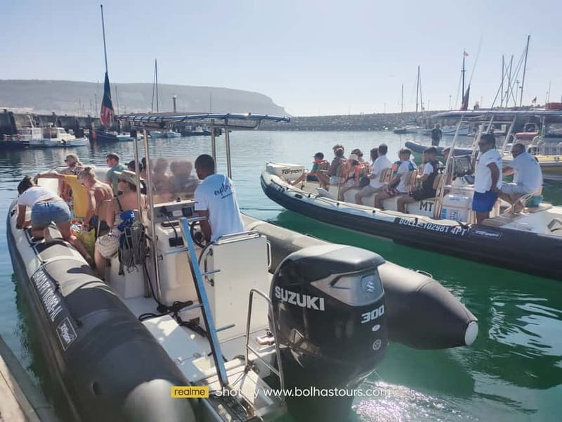 Sesimbra: Dolphin and Whales Watching with Biologist Guide - Key Points/Takeaways