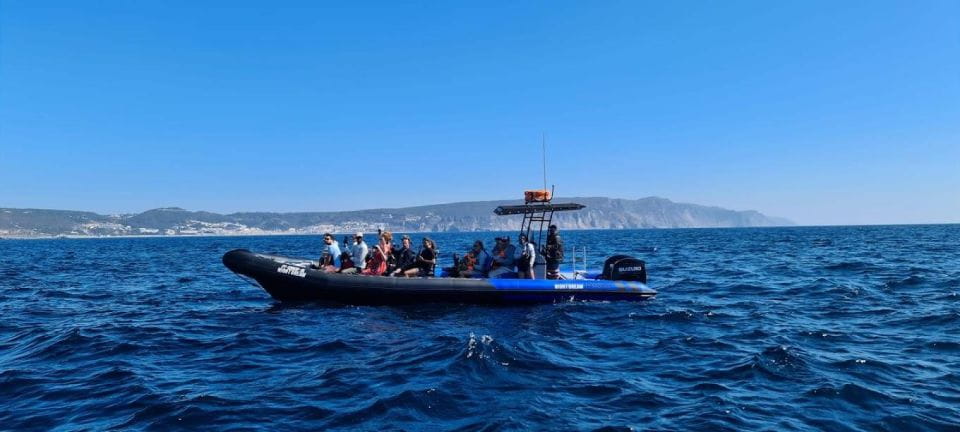 Sesimbra: Dolphin Watching With Biologist Arrábida Natural Park - Customer Ratings and Feedback