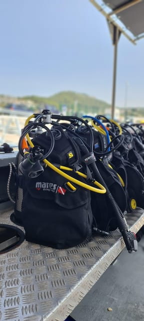 Sesimbra: First Scuba Diving Experience in the Ocean - Practical Details: What You Should Know
