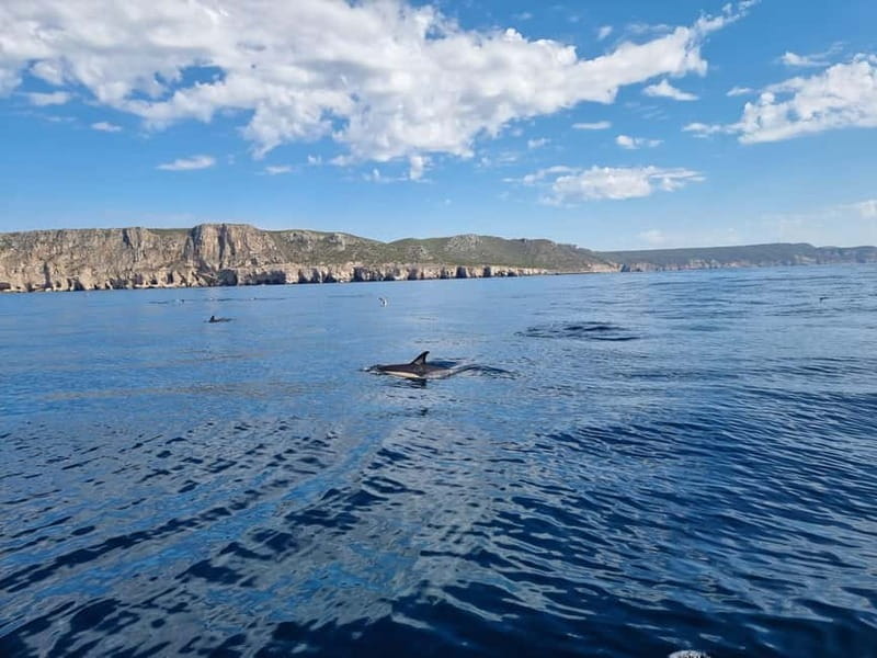 Sesimbra: Private Boat - Beach and Caves - Key Points / Takeaways