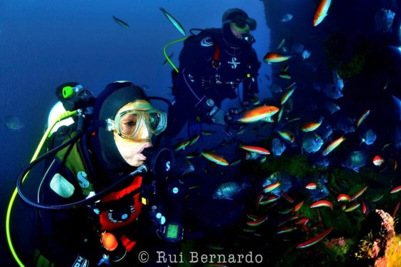 Sesimbra: Scuba Diving Experience for Beginners - Key Points / Takeaways