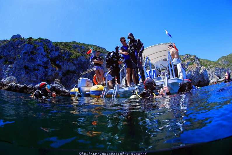 Sesimbra: Scuba Diving Experience for Beginners - Guides Who Make a Difference