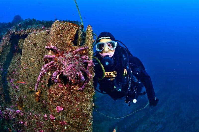 Sesimbra: Scuba Diving Experience for Beginners - Why This Experience Excels for Beginners