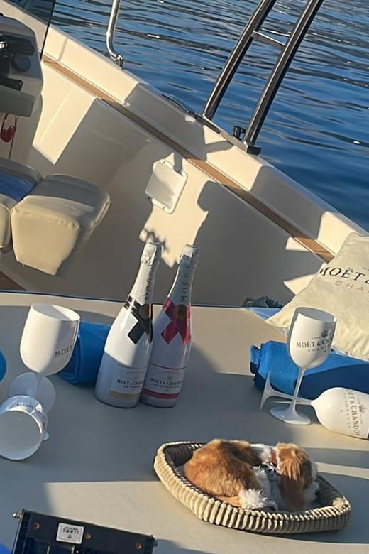 SESTRI LEVANTE: BOAT RENTAL, DAILY CRUISES - Final Thoughts