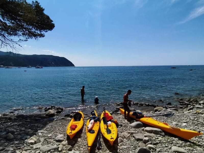 Sestri Levante: Kayak Excursion in the Biodiversity of the Bay of Gold - Key Points / Takeaways