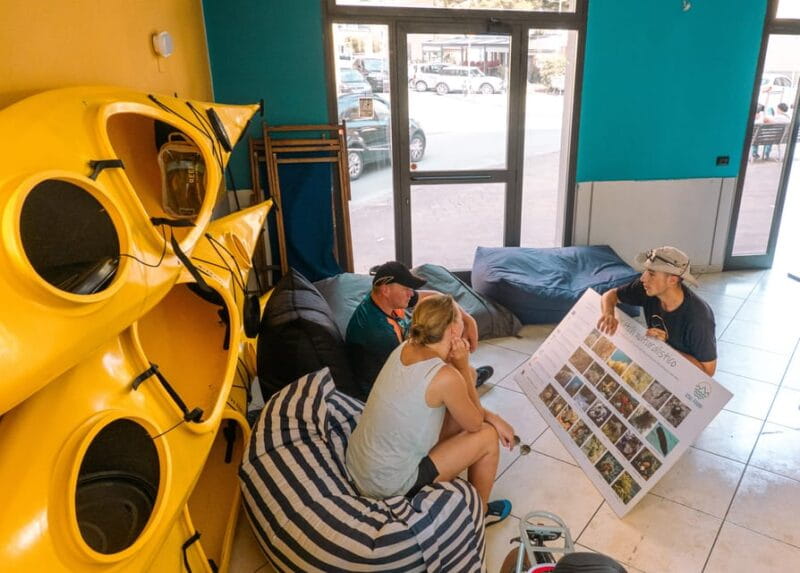 Sestri Levante: SUP & Snorkeling Experience - The Sum Up