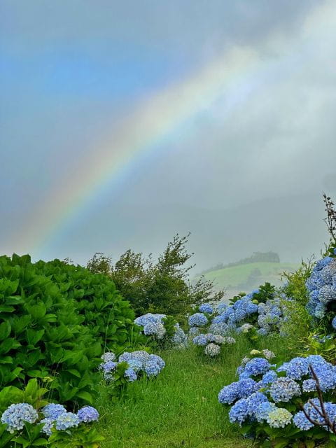 Sete Cidades Lakes - Off Road Tour - Key Points