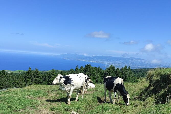 Sete Cidades on Jeep - Discovering the Beauty of Sete Cidades on a Jeep