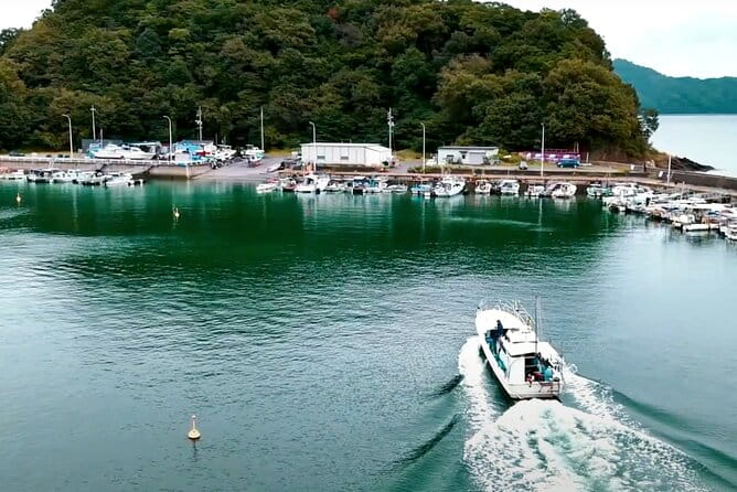 Setouchi Fishing and Culinary Adventure - Hands-on Fishing Experience in the Seto Inland Sea