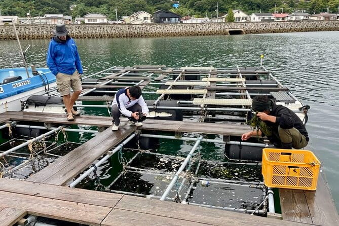 Setouchi Fishing and Culinary Adventure - Savoring the Seto Inland Seas Culinary Delights