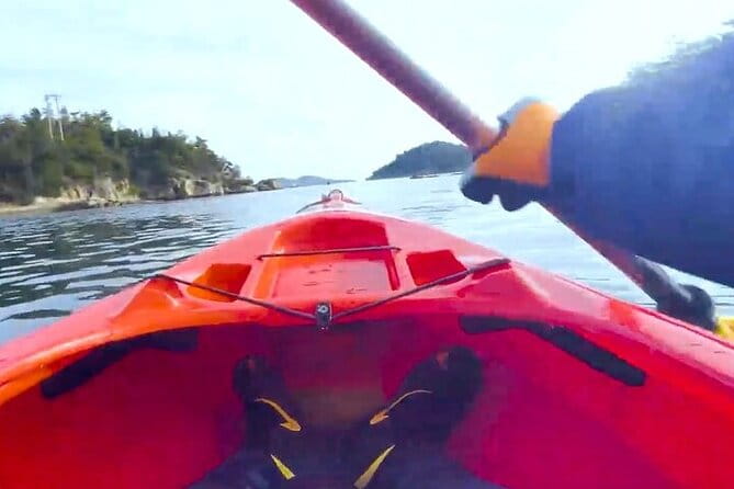 Setouchi Sea Kayak Private Adventure and Hidden Islands - What to Expect During the Tour