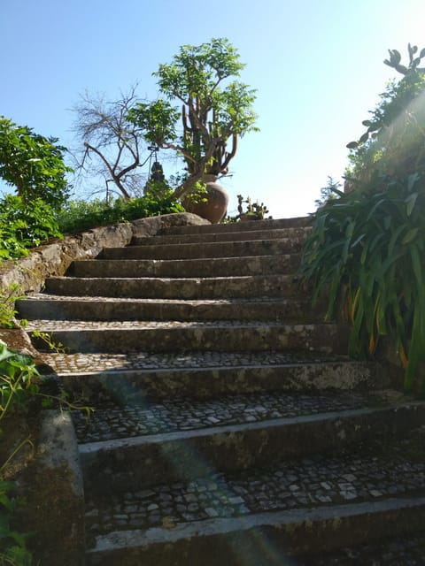 Setúbal: Market, Tiles and Wine (From Lisbon) - Who Will Love This Tour?