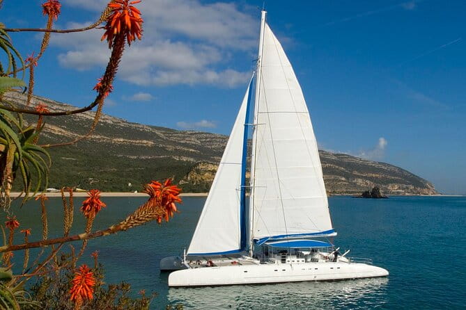 Setúbal Private Tour - Including Dolphin Watching - Final Thoughts: Who Should Book This Tour?