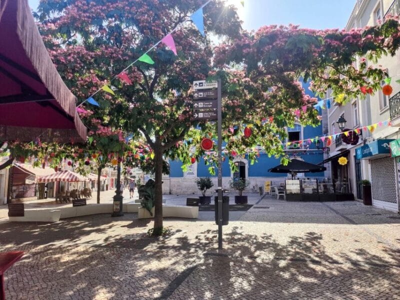 Setúbal Private Walking Tour: Off-the-Beaten-Path Charms - Exploring the Heart of Setúbal