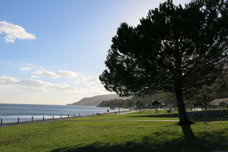 Setúbal: Private Walking Tour with Tastings - Final Thoughts: Is This Experience Worth It?