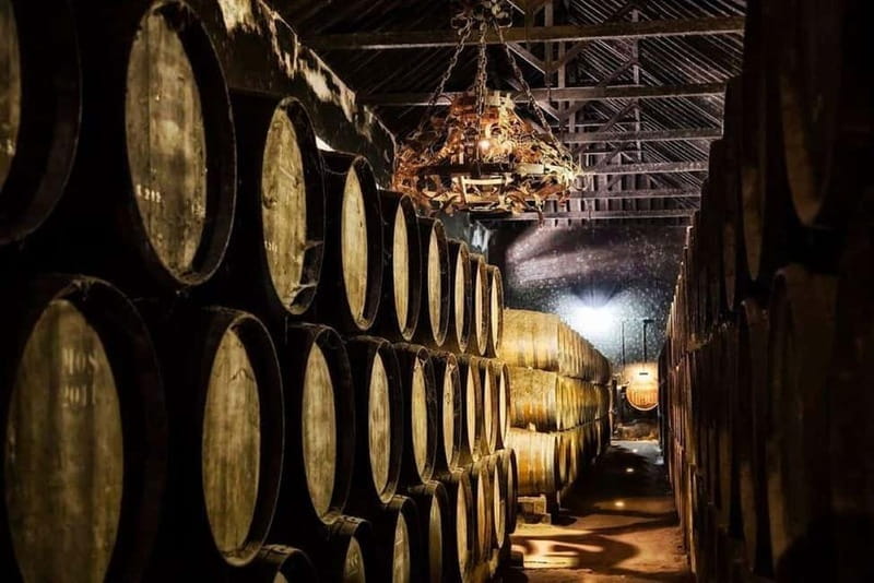 Setúbal Wine Tour: Discover the Moscatel Wine - Traditional Lunch and Local Flavors