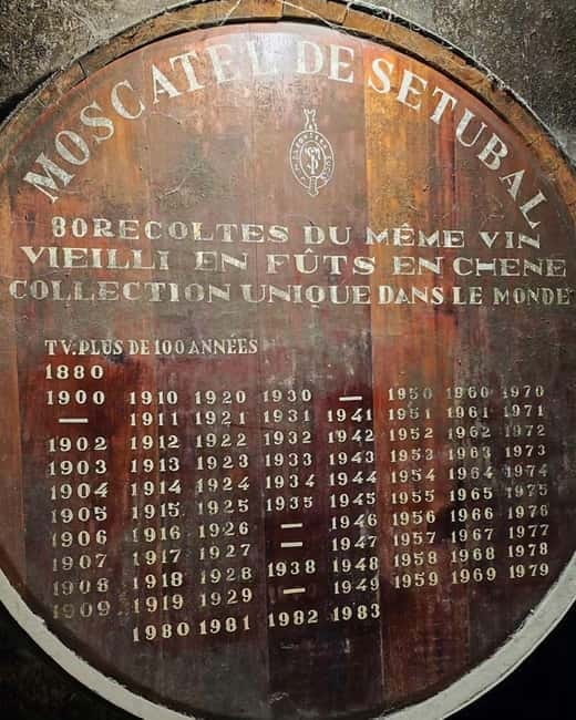 Setúbal Wine Tour: Discover the Moscatel Wine - Return to Lisbon