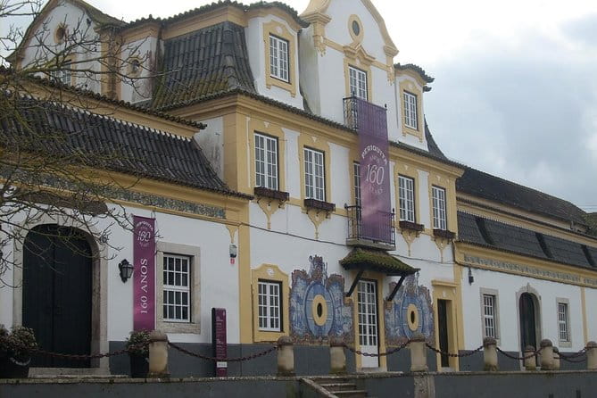 Setubal Winery Private Tour including Lunch at Sesimbra Beach - The Sum Up