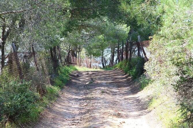 Seven Hanging Valleys Expedition with Lunch in the Vineyard - Who Should Consider This Tour?